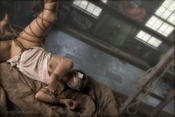 Kinbaku, Shibari /� foto by muffart.ch